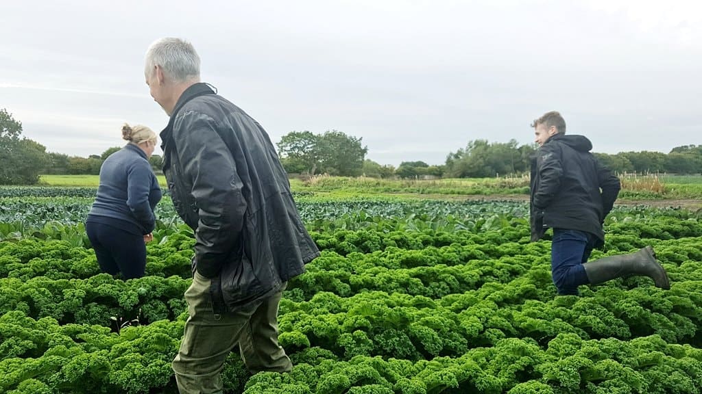Organic North