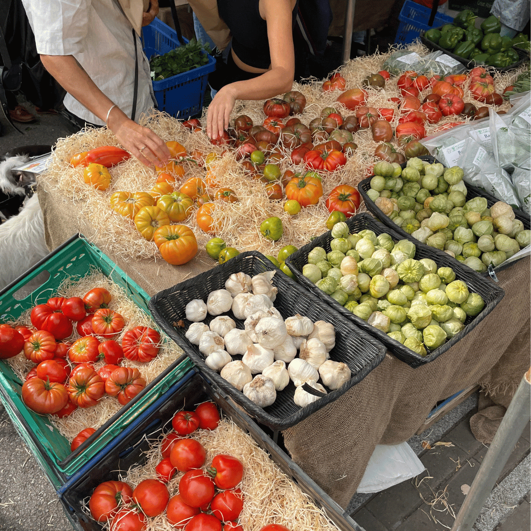 A lovely array of tomatoes in crates at a market